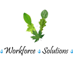 Workforce Solutions - Virēns Global